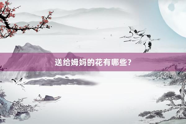 送给姆妈的花有哪些？