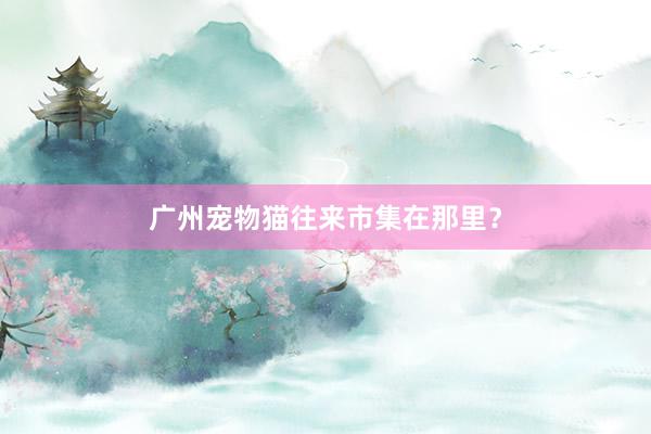 广州宠物猫往来市集在那里？